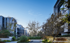 起首是低密景不雅资本