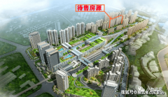 是刚需自住、改善居